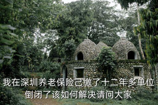 我在深圳養老保險己繳了十二年多單位倒閉了該如何解決請問大家