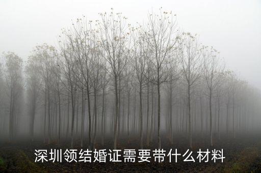 深圳打結婚證需要帶什么資料，深圳結婚登記需要什么材料