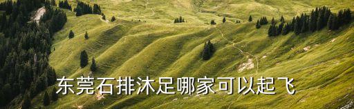 東莞石排沐足哪家可以起飛
