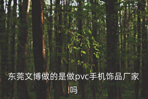 東莞pvc手環(huán)加工，pvc手腕帶專業(yè)的生產(chǎn)廠家