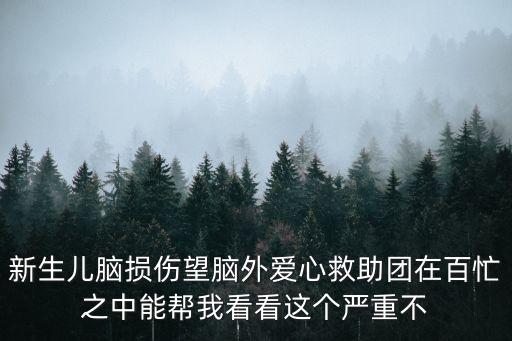 新生兒腦損傷望腦外愛心救助團在百忙之中能幫我看看這個嚴重不