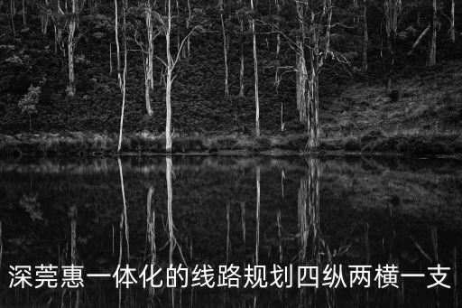 穗莞深城軌廣州段線路圖，穗莞深城際鐵路詳細的路線分布圖