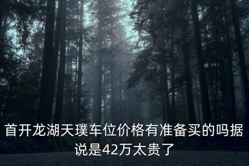 首開龍湖天璞車位價格有準備買的嗎據說是42萬太貴了