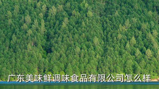 廣東美味鮮調(diào)味食品有限公司怎么樣