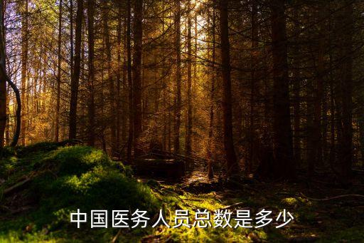 中國醫務人員總數是多少