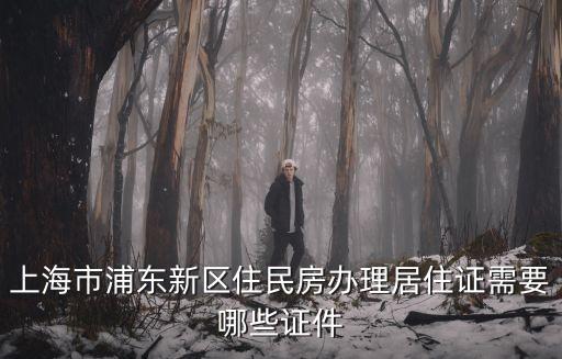 上海市的民房，上海市浦東新區(qū)住民房辦理居住證需要哪些證件