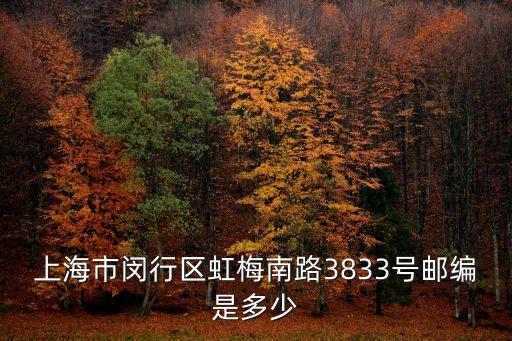 上海市閔行區(qū)虹梅南路3833號郵編是多少