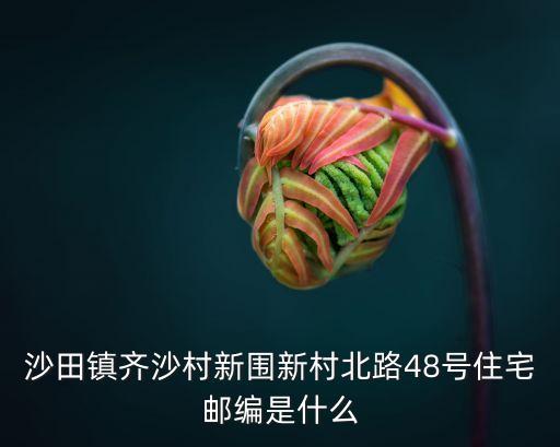 沙田鎮(zhèn)齊沙村新圍新村北路48號住宅郵編是什么