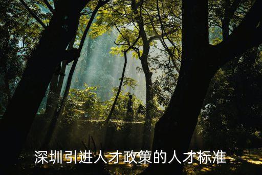 深圳引進人才政策的人才標準