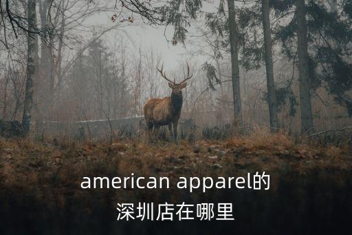 american apparel的深圳店在哪里