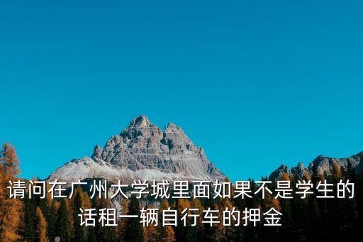 廣州 大押，廣州中山四路1號東平大押里面是干什么的有保安在守哦