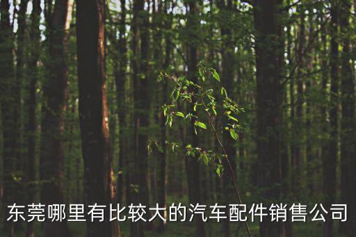 東莞配套公司，東莞配藥公司除了仁正一君還有哪些醫藥公司也配送