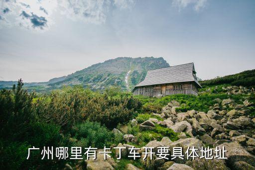 廣州開跑車，廣州的路況能開什么跑車