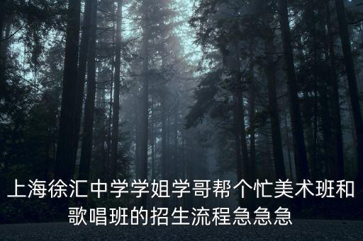 上海徐匯中學學姐學哥幫個忙美術班和歌唱班的招生流程急急急