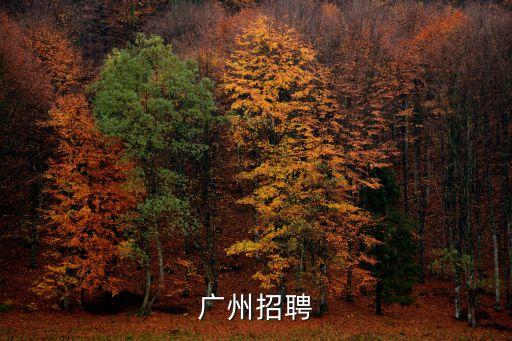 廣州立趣科技有限公司招聘信息，廣州招聘