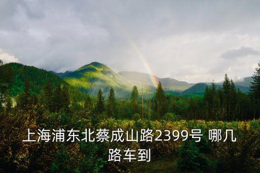 上海市北蔡鎮(zhèn)成山路，上海浦東北蔡成山路2399號 哪幾路車到