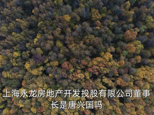 上海市永鑫集團(tuán)董事長，上海鑫鑫服飾公司的老板叫什么