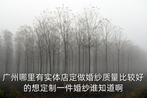 廣州哪里有實體店定做婚紗質量比較好的想定制一件婚紗誰知道啊