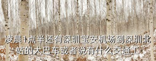 凌晨1點半還有深圳寶安機場到深圳北站的大巴車或者說有什么交通工