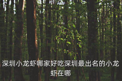深圳小龍蝦哪家好吃深圳最出名的小龍蝦在哪
