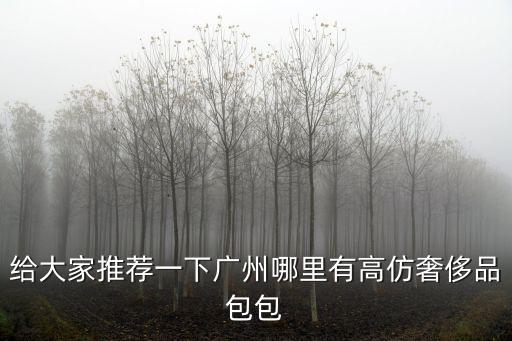 給大家推薦一下廣州哪里有高仿奢侈品包包