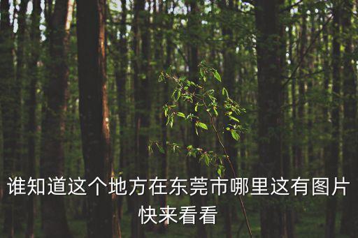 誰知道這個地方在東莞市哪里這有圖片快來看看