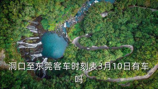 洞口至東莞客車時刻表3月10日有車嗎