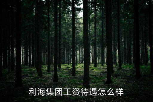 利海集團工資待遇怎么樣