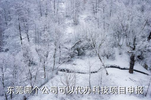 東莞市科技項目申請，東莞哪個公司可以代辦科技項目申報