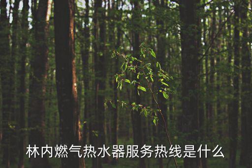 林內燃氣熱水器服務熱線是什么