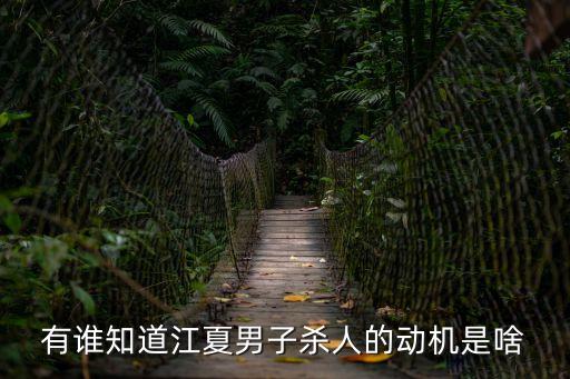有誰知道江夏男子殺人的動機是啥
