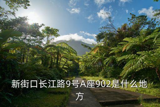 新街口長(zhǎng)江路9號(hào)A座902是什么地方