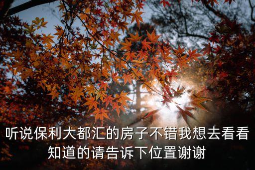 東莞保利大都會戶型圖，聽說保利大都匯的房子不錯我想去看看知道的請告訴下位置謝謝