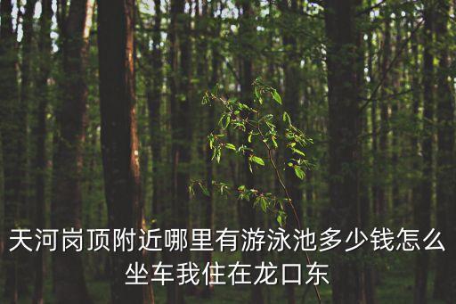 廣州龍口游泳館價格，現(xiàn)在龍口康樂宮水上樂園多少錢了
