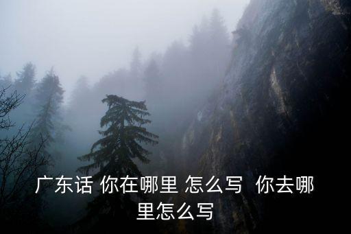廣東話 你在哪里 怎么寫  你去哪里怎么寫