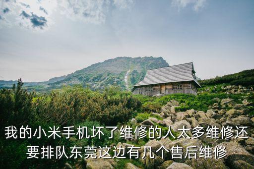 我的小米手機壞了維修的人太多維修還要排隊東莞這邊有幾個售后維修
