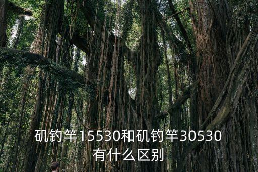 廣州磯釣竿，300500買什么樣的磯釣竿好