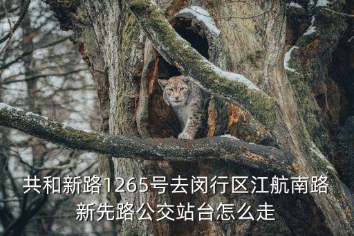 共和新路1265號去閔行區(qū)江航南路新先路公交站臺怎么走