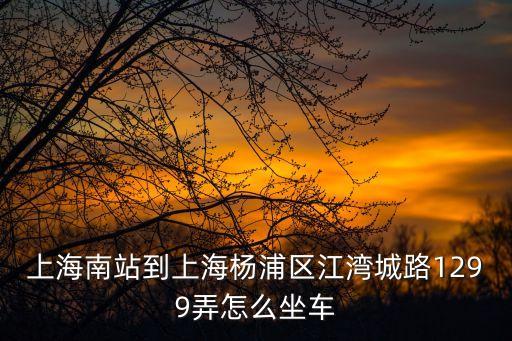 上海南站到上海楊浦區(qū)江灣城路1299弄怎么坐車