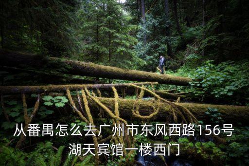 廣醫(yī)到廣州天鴻賓館，到天鴻酒店怎么走