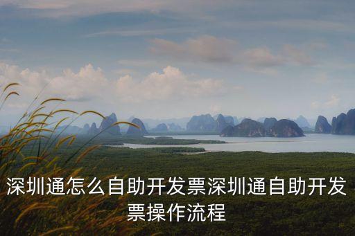 深圳通互聯(lián)互通卡充值如何開(kāi)發(fā)票，深圳電子發(fā)票怎么開(kāi)