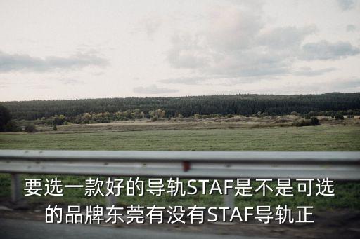 要選一款好的導軌STAF是不是可選的品牌東莞有沒有STAF導軌正