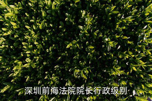深圳法院法官總人數，深圳前海法院院長行政級別