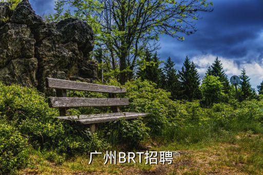 廣州車靠山招聘，誰知道廣州那里招汽車方面的人嗎
