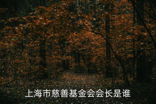上海市慈善基金會會長是誰