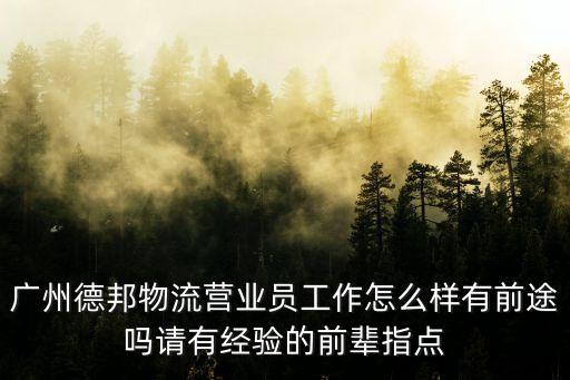 廣州的德邦物流怎么樣，廣州德邦物流營業員工作怎么樣有前途嗎請有經驗的前輩指點