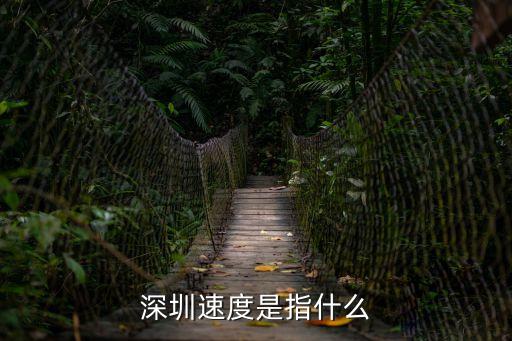 談談對深圳速度的理解和認識，你對深圳速度的理解 八年級地理