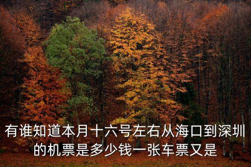 有誰知道本月十六號左右從海口到深圳的機票是多少錢一張車票又是