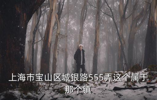 上海市寶山區(qū)城銀路555弄這個屬于那個鎮(zhèn)