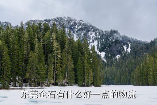 東莞企石鎮干貨配送，東莞企石有什么好一點的物流